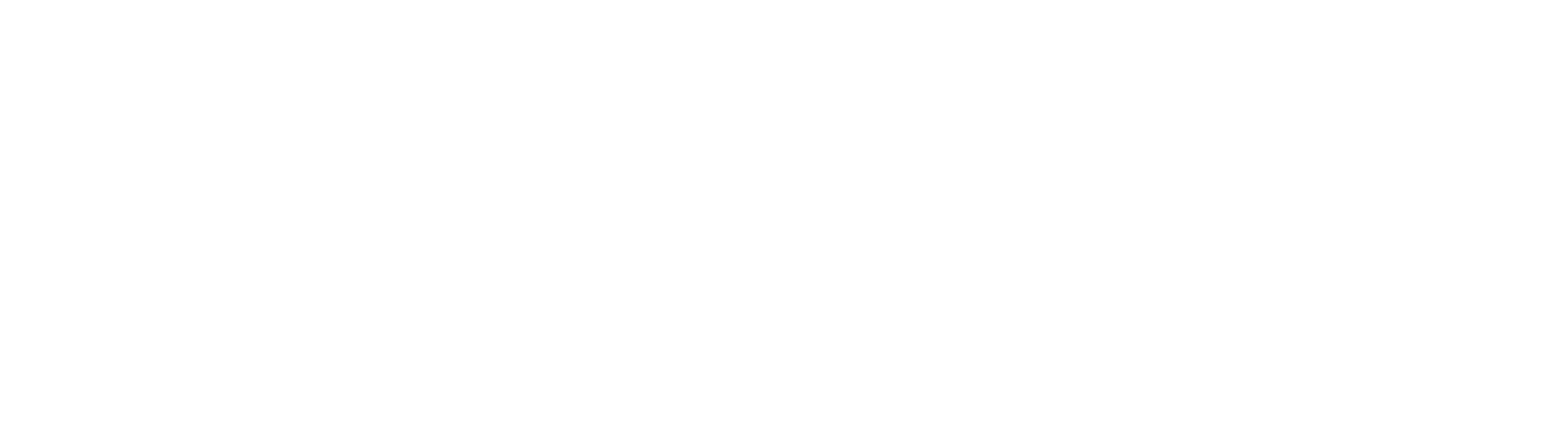 FASTINTRANSITW